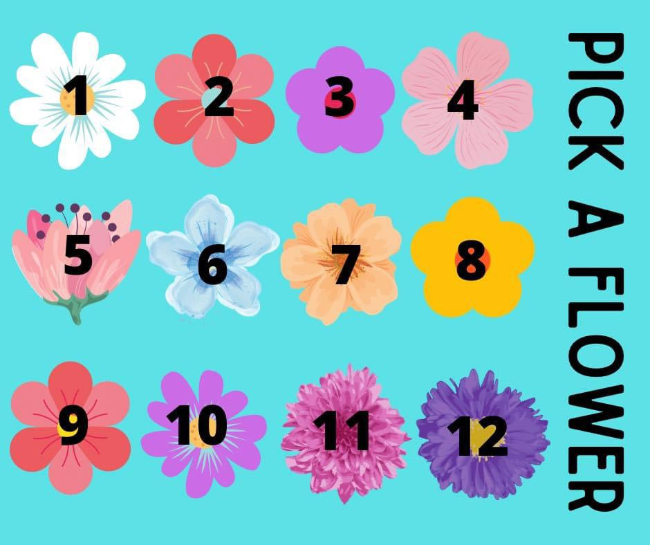 Pick a Flower Line Upon Line